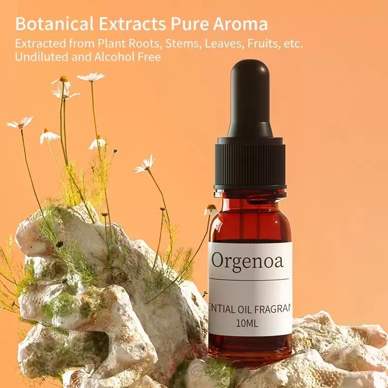 Essenti&euml;le oli&euml;n